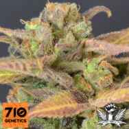 710 Genetics Seeds High Priority Auto